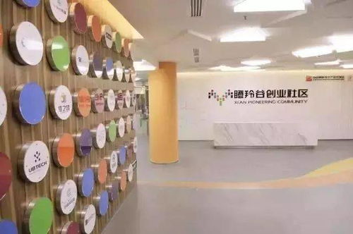 創業園再創佳績 連續四年榮獲孵化器考評A類資質，匠心打造卓越創業空間服務